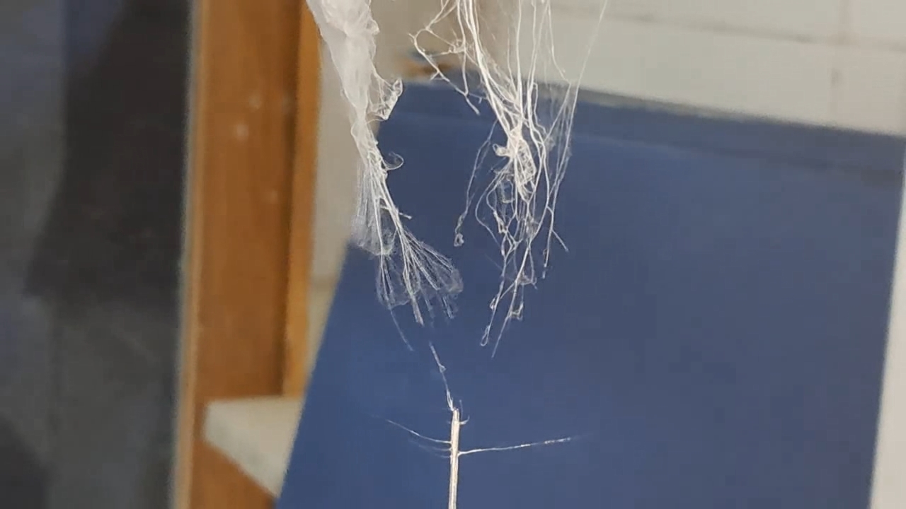 Electrospinning: Solutions of Polystyrene and Polyvinylidene Difluoride in Dimethylformamide